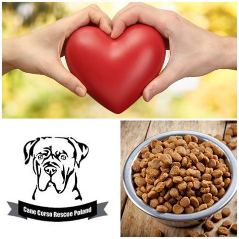 Dziękujemy <3 Ciociuni Kochanej Magda Olesiejuk za dbanie o pełne brzuszki Naszych podopiecznych 